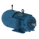 00312ET3EBM213T-W22 | Weg Motor 3Hp 6P 213/5T Wff2 Brake Motor W22