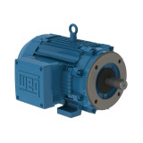 00312XT3E213TC | Weg Motor 3Hp 6P 213/5Tc Wfx1