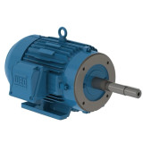 00318ET3H182JP-W22 | Weg Motor 3Hp 4P 182/4Jp Wff2