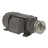 00336ES3ESA80SL | Weg Motor 3Hp 2P 80S/Ms Wfs1