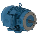 00336ET3E182JM-W22 | Weg Motor 3Hp 2P 182/4Jm Wff2