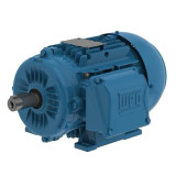 00336ET3EAL100L-W22 | Weg Motor 4Hp 2P 100L Waf1