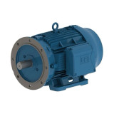 01118ET3Y160MFF-W22 | Weg Motor 15Hp 4P 160M Wff2