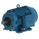 02012ET3ECT286T-W22 | Weg Motor 20Hp 6P 284/6T Wff2