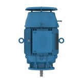 02018ET3E256HP-W22 | Weg Motor 20Hp 4P 256Hp Wff2