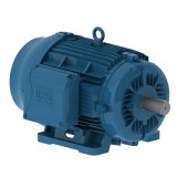 02512ET3H324T-W22G | Weg Motor 25Hp 6P 324/6T Wff2