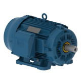 02512ST3HIE324T-W22 | Weg Motor 25Hp 6P 324/6T Wff2