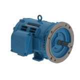02536OT3H256TC-W40 | Weg Motor 25Hp 2P 254/6Tc Wfa2