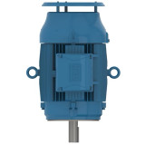 03012ET3ER326TSC-W22 | Weg Motor 30Hp 6P 326Tsc Wff2