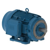 03018ET3E286TC-W22 | Weg Motor 30Hp 4P 284/6Tc Wff2