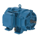 25018OT3G445TS-W40 | Weg Motor 250Hp 4P 444/5Ts Wfa2