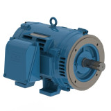25036OT3G445TSC-W40 | Weg Motor 250Hp 2P 444/5Tsc Wfa2
