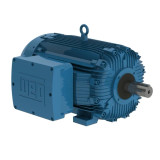 30012XT3G449T | Weg Motor 300Hp 6P 449T Wfx1