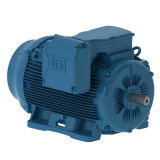 30018ET3G449TS-W22 | Weg Motor 300Hp 4P 447/9Ts Wff2