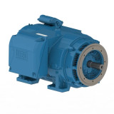 35036OT3G449TSC-RFW4 | Weg Motor 350Hp 2P 447/9Tsc Wfa2