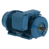 40009ET3G588/9-W22 | Weg Motor 400Hp 8P 588/9T Wff2