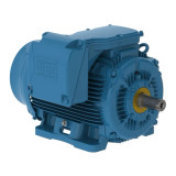50018ET3GKD580Z-W22 | Weg  Motor 500Hp 4P 586/7Tz Wff2