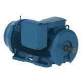 65018ET3G588/9-W22 | Weg Motor 650Hp 4P 588/9T Wff2