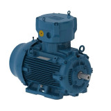 E25036XP3YAX355MLF3W | Weg Motor 250Kw 2P 355M/L Wfx2