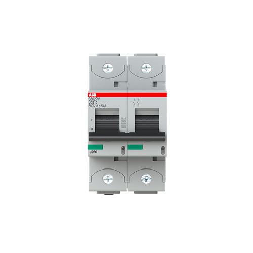 S802S-UCB125 | ABB High Performance Miniature Circuit breaker (50kA, 125A, 2P)
