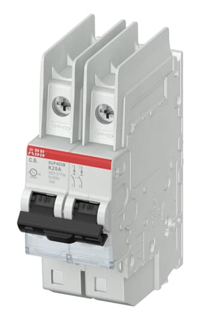 SUP402M-K15 | ABB Miniature circuit breaker (10kA, 15A, 2P)