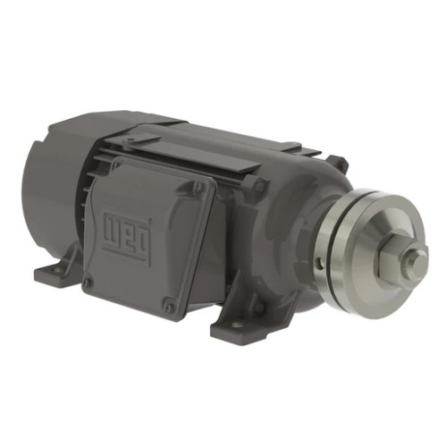 01036ES3ESA90LR | Weg Motor 10Hp 2P 90L/Ms Wfs1