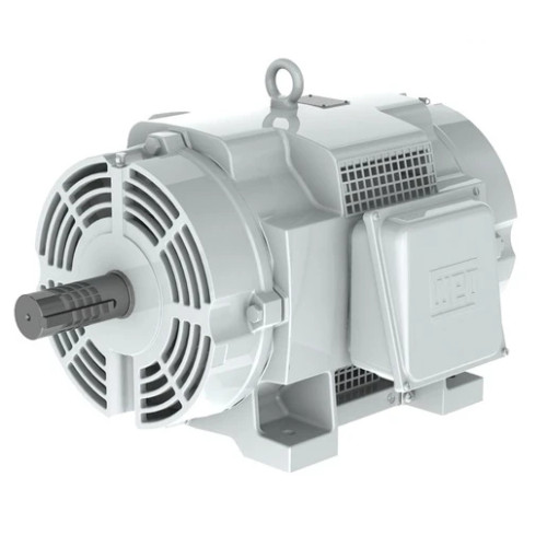 03012OS3EOW326T | Weg Motor 30Hp 6P 326T Wfa1