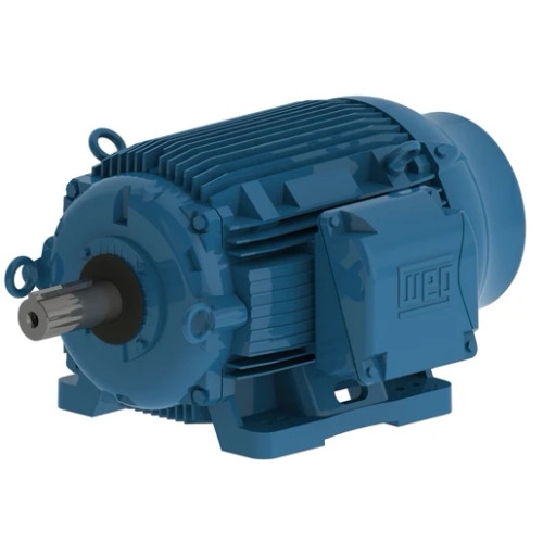 04012ET3ECT364T-W22 | Weg Motor 40Hp 6P 364/5T Wff2