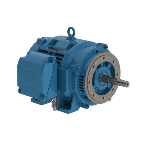 05012OT3E365JP-W40 | Weg Motor 50Hp 6P 364/5Jp Wfa2