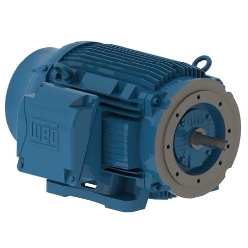 06018ET3E364JM-W22 | Weg Motor 60Hp 4P 364/5Jm Wff2