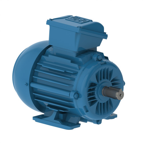 E0.1818EP3WAX63F3-W2 | Weg Motor 0.18Kw 4P 63 Wff2