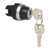 L21LD00 Baco Controls 22 mm 2 Position Momentary Chrome Bezel Key Switch