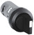 C2SS1-10B-20 | ABB Cp 2Pos Ss Main Blk, 2No