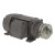 00518ES3ESA90LL | Weg Motor 5Hp 4P 90L/Ms Wfs1