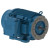 07536ET3H365JM-W22 | Weg Motor 75Hp 2P 364/5Jm Wff2