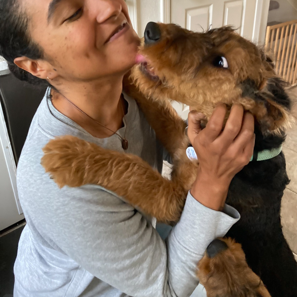 Baloo the Airedale An Airedale jumping up and giving his human mom kisses
