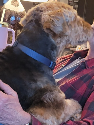 otis-3.jpg