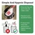 Vacuum Dust Bags & Air Fresheners Kit for Numatic Henry, Hetty RSV200, NRV200 (10 Bags + 10 Air Fresheners, 604015)