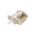 Genuine DeLonghi 5664, CX600, EOC, EOF, ESS, GDF; Homark 01-xxxxx, 02-xxxxxx; CDA MX9002SS, CD200, CD900 CD6000SS; Caple C200; Belling 444447112 Selector Switch (050032)
