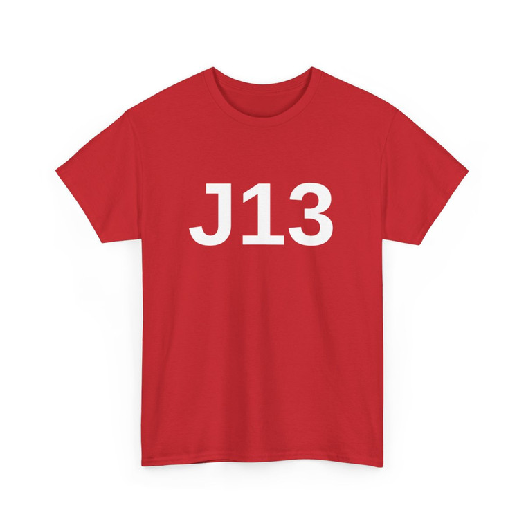 NEVER FORGET J13 - Unisex Heavy Cotton Tee