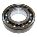 Output shaft bearing
