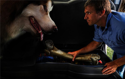 Husky Liners 09401 Gearbox Storage Systems - Under Seat Storage Box - 09401