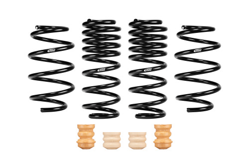 Eibach E10-23-041-01-22 Set of 4 Springs - E10-23-041-01-22
