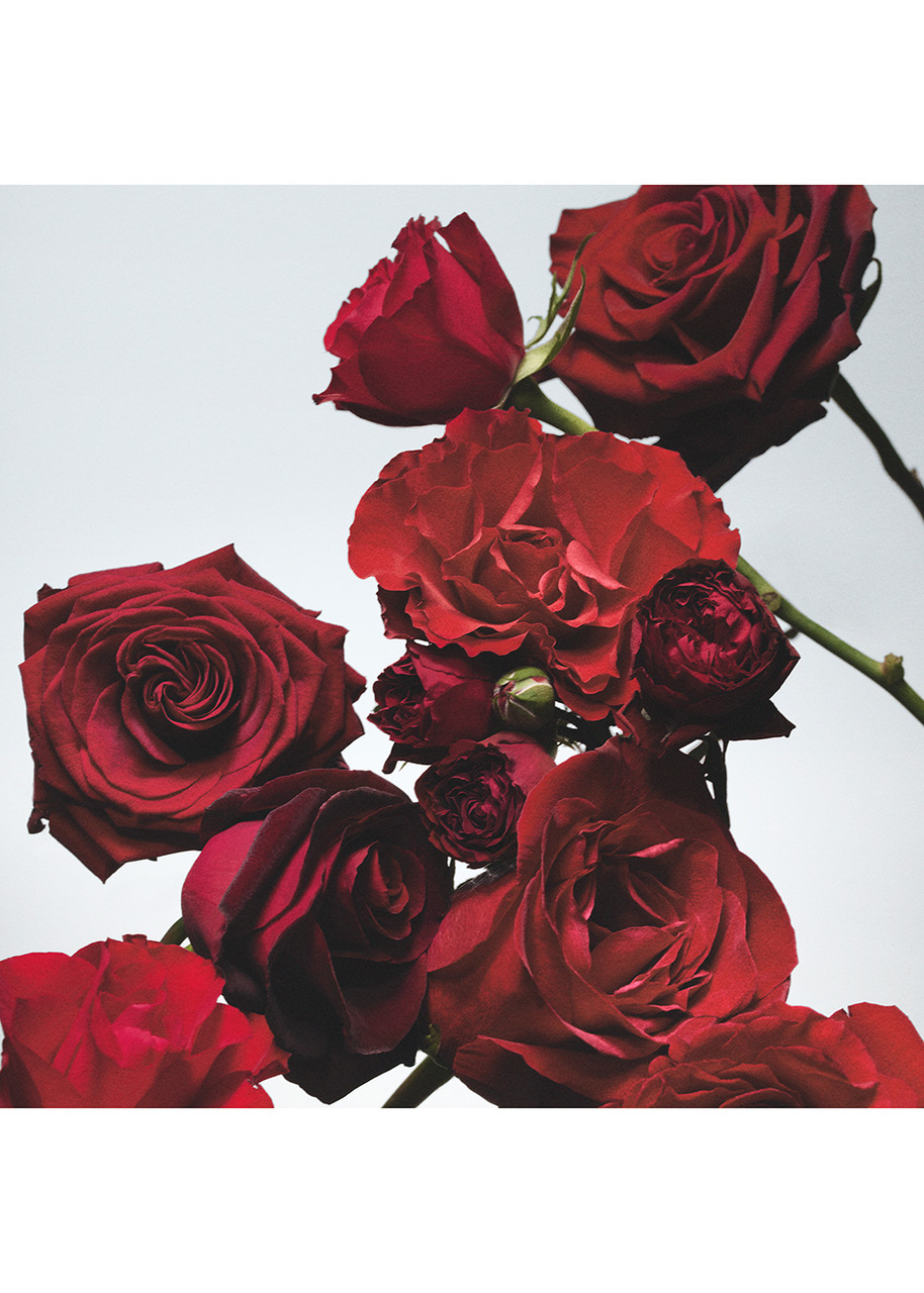 JO MALONE RED ROSES BATH OIL 250ml JO MALONE LONDON Red Roses Bath