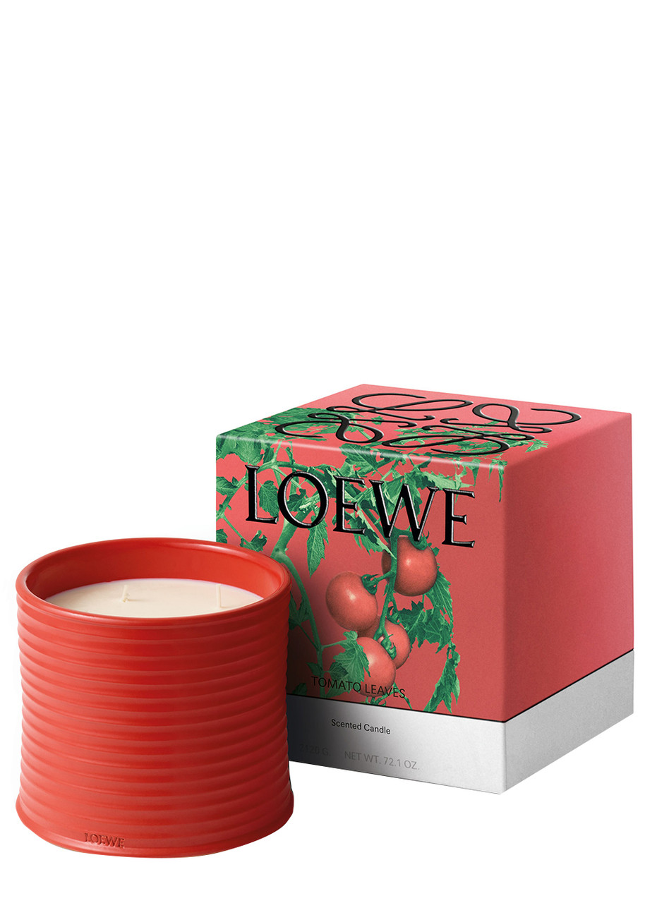 LOEWE Tomato Leaves Candle - Large 2120g | Harvey Nichols