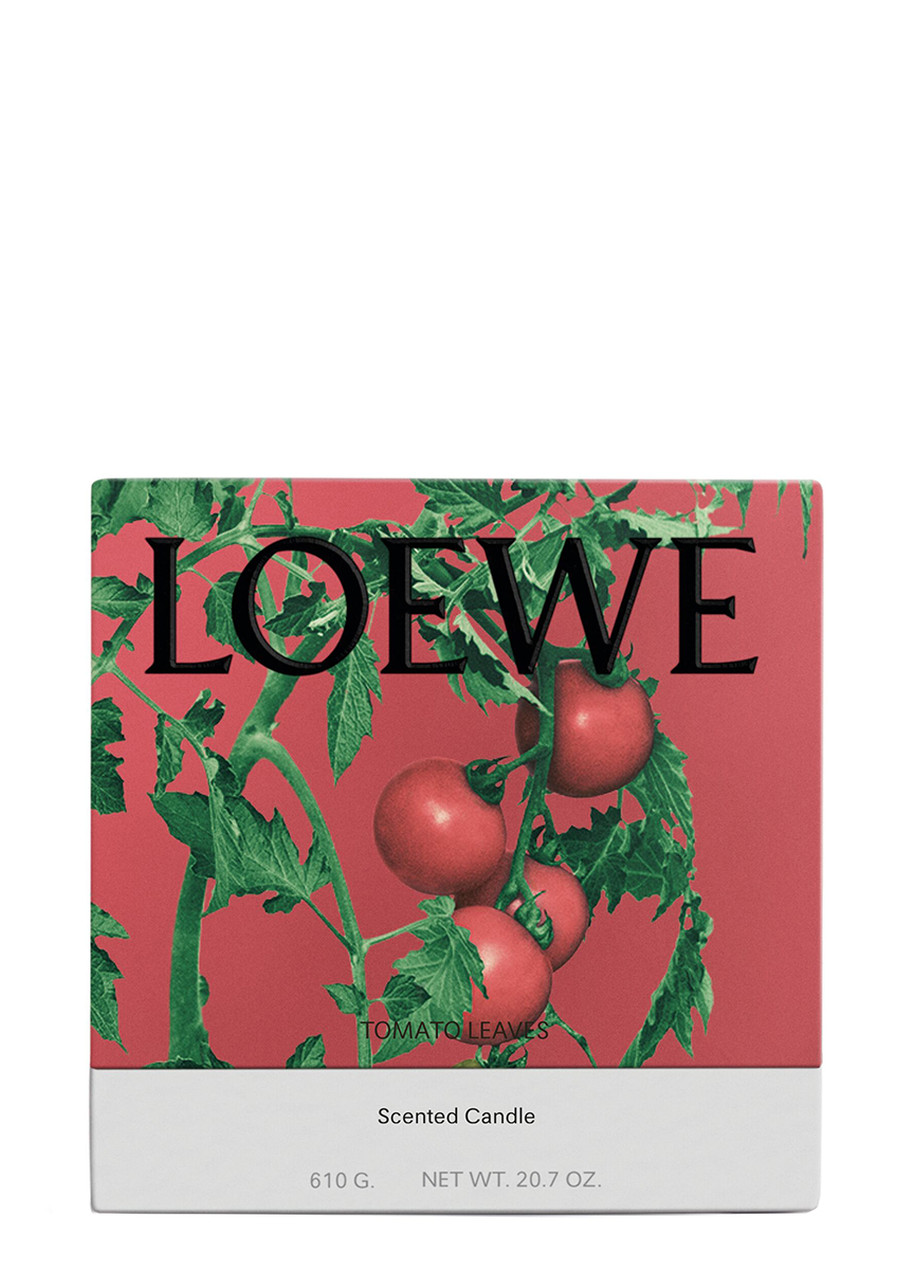 LOEWE アロマキャンドル 610g　ロエベ　TOMATO LEAVES LOEWE Tomato Leaves Candle - Medium 610g | Harvey Nichols