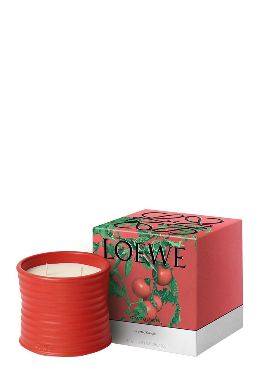 LOEWE Tomato Leaves Candle - Medium 610g | Harvey Nichols