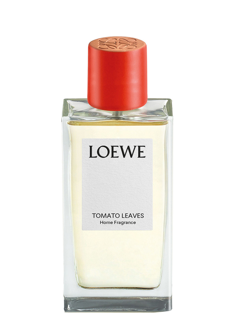 LOEWE Tomato Leaves Home Fragrance 150ml | Harvey Nichols