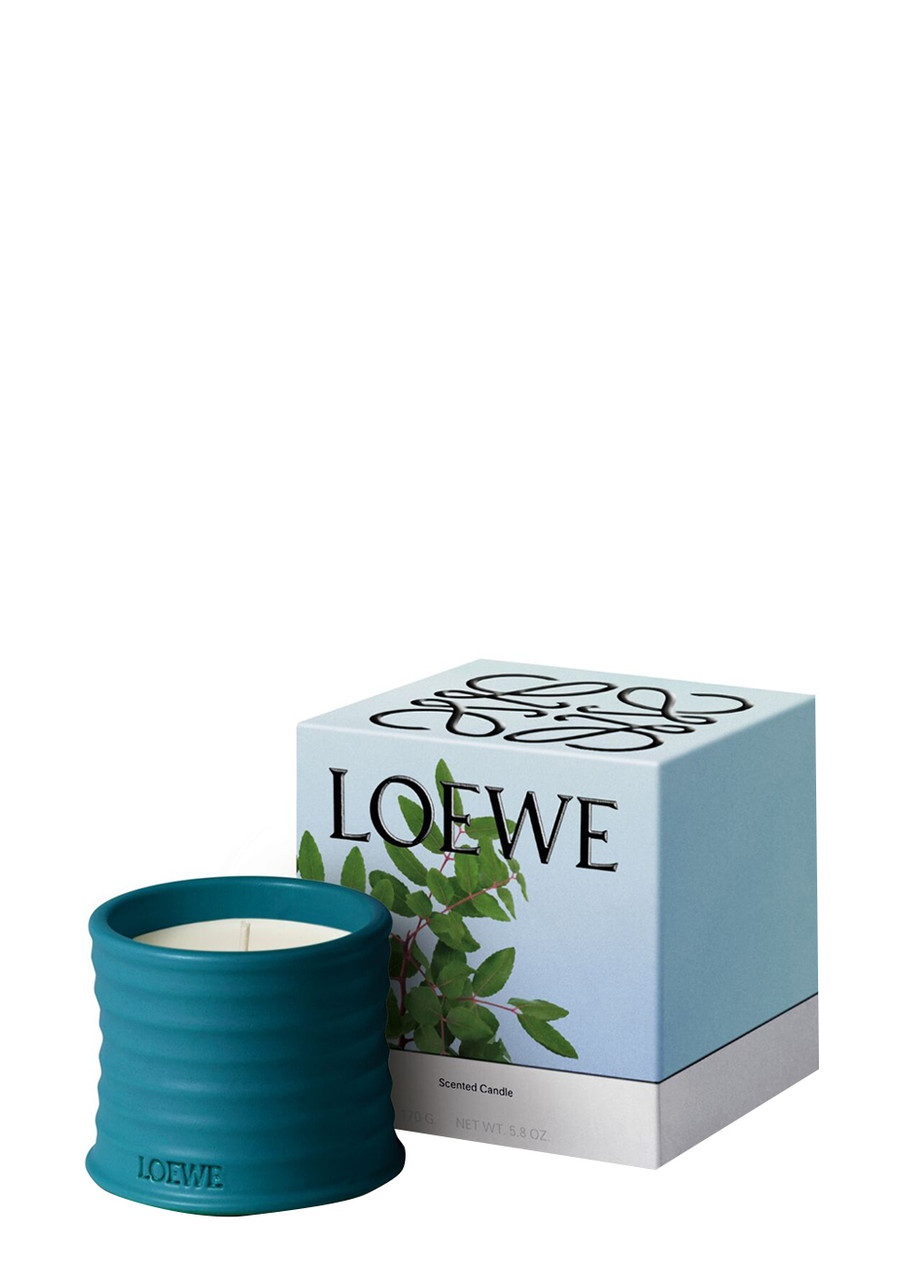 LOEWE Incense Candle - Small 170g | Harvey Nichols