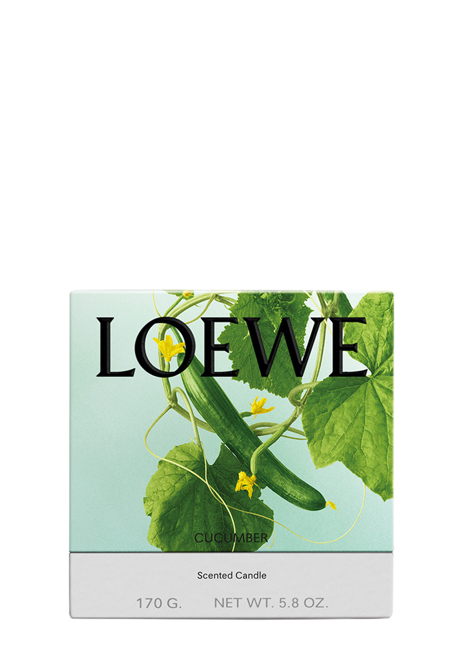 LOEWE Cucumber Candle - Small 170g | Harvey Nichols